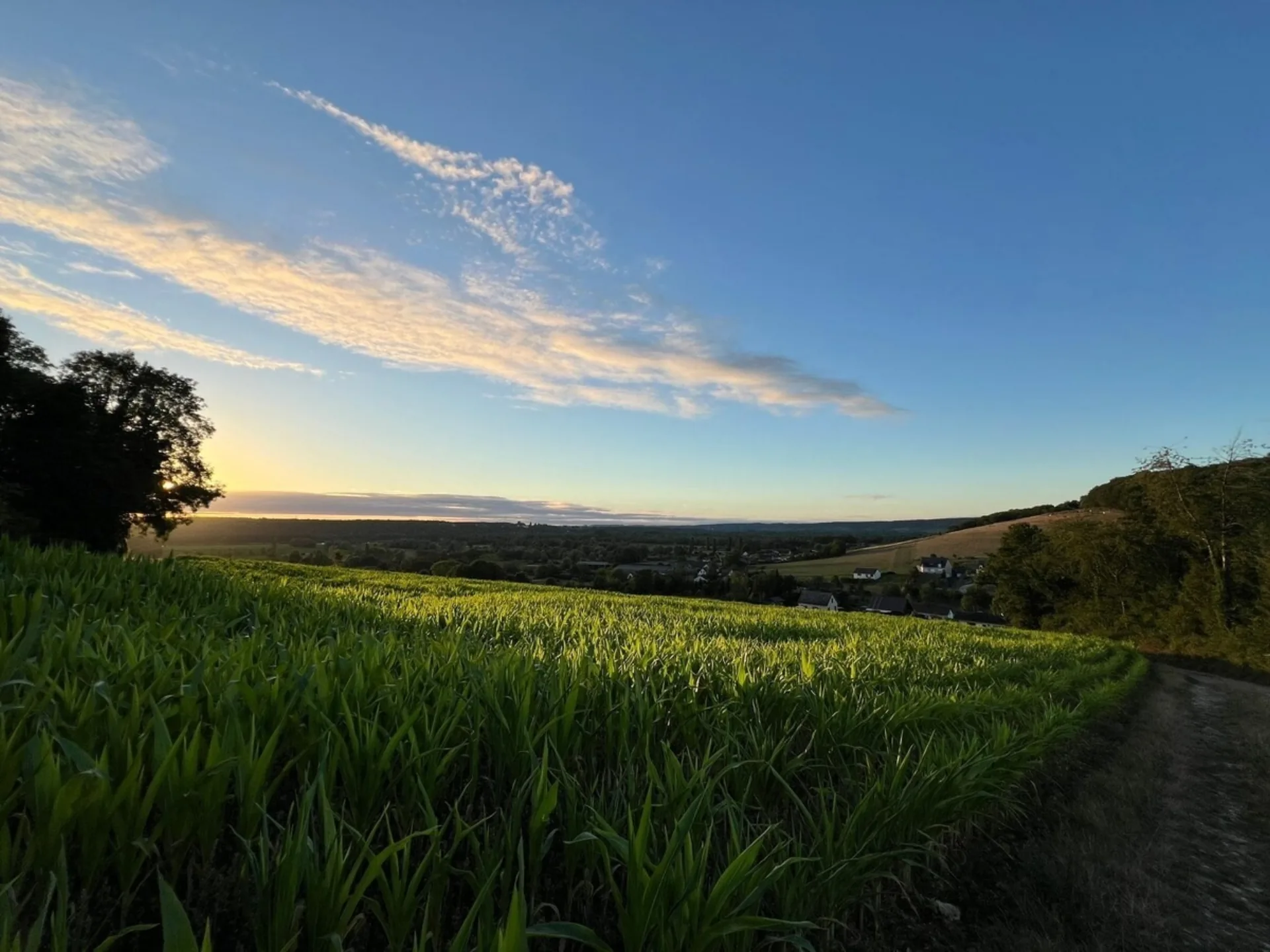 Vue de Quevillon